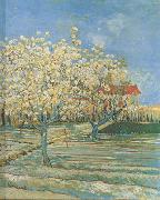 Vincent Van Gogh Orchard in Blossom (nn04) china oil painting artist